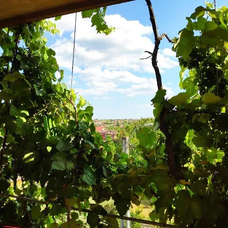 Eliade Habitación en casa particular