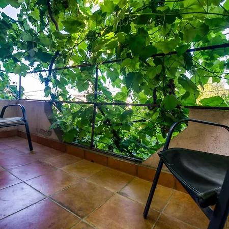 Eliade Habitación en casa particular Agigea