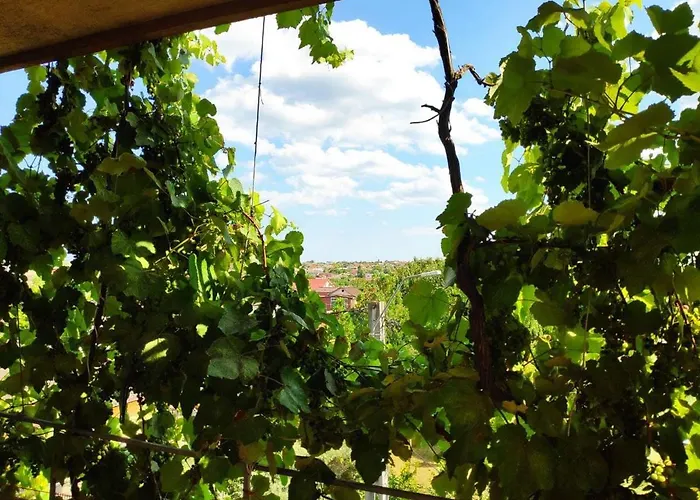 Eliade Homestay szállás