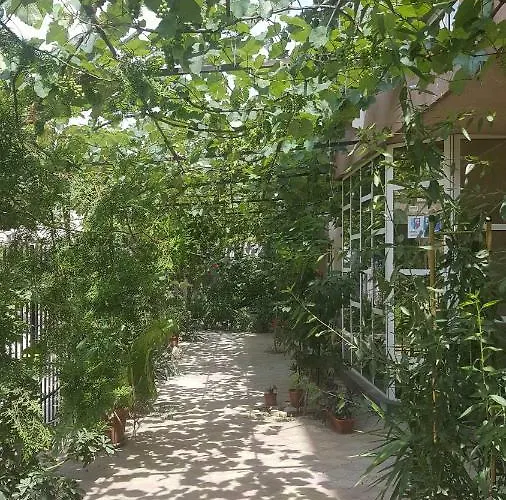 Eliade Homestay szállás Agigea